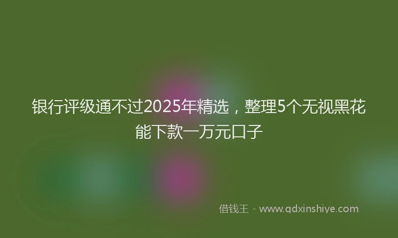 银行评级通不过2025年精选，整理5个无视黑花能下款一万元口子