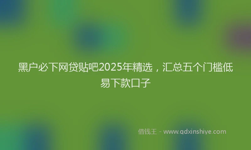 黑户必下网贷贴吧2025年精选，汇总五个门槛低易下款口子