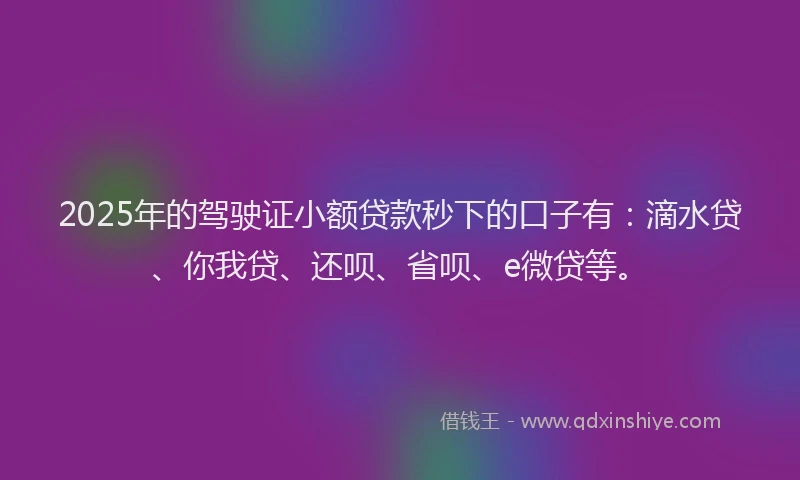 2025年的驾驶证小额贷款秒下的口子有：滴水贷、你我贷、还呗、省呗、e微贷等。