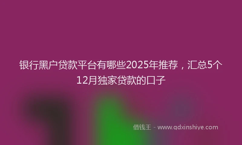 银行黑户贷款平台有哪些2025年推荐，汇总5个12月独家贷款的口子