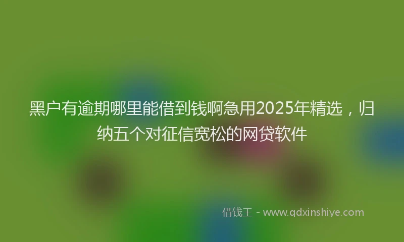 黑户有逾期哪里能借到钱啊急用2025年精选，归纳五个对征信宽松的网贷软件