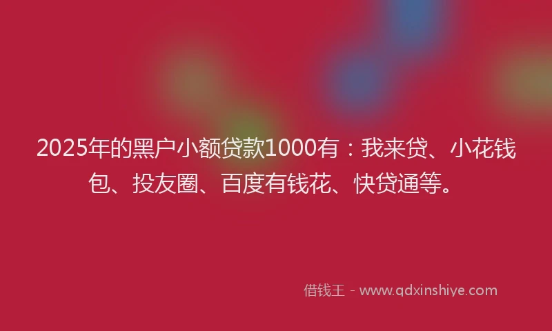 2025年的黑户小额贷款1000有：我来贷、小花钱包、投友圈、百度有钱花、快贷通等。