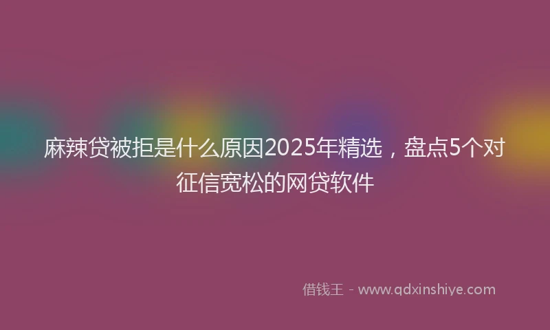 麻辣贷被拒是什么原因2025年精选，盘点5个对征信宽松的网贷软件