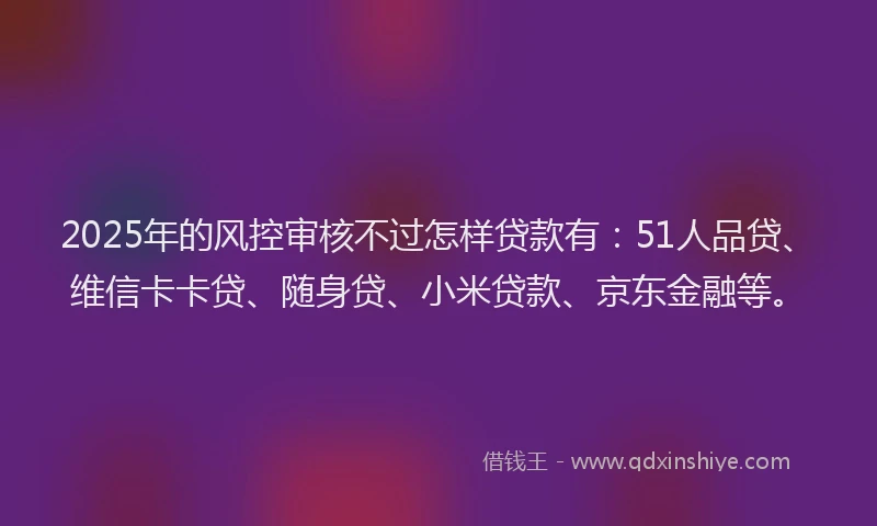 2025年的风控审核不过怎样贷款有：51人品贷、维信卡卡贷、随身贷、小米贷款、京东金融等。