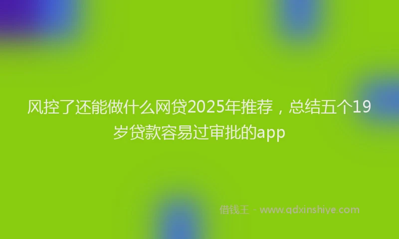 风控了还能做什么网贷2025年推荐，总结五个19岁贷款容易过审批的app