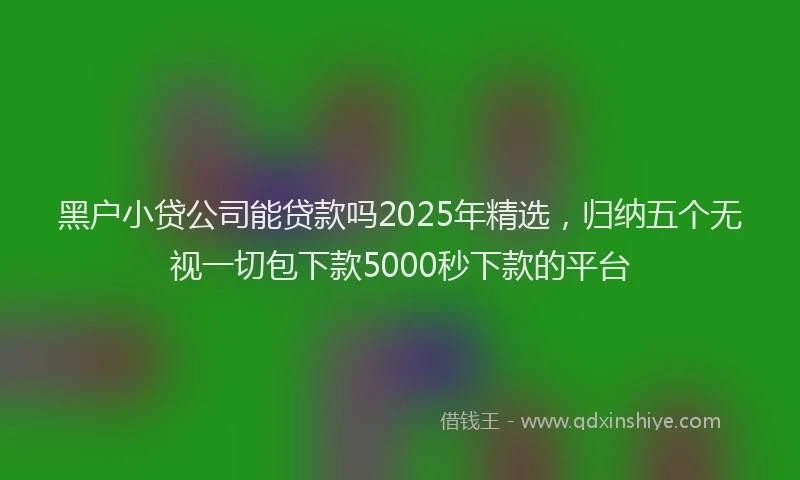 黑户小贷公司能贷款吗2025年精选，归纳五个无视一切包下款5000秒下款的平台