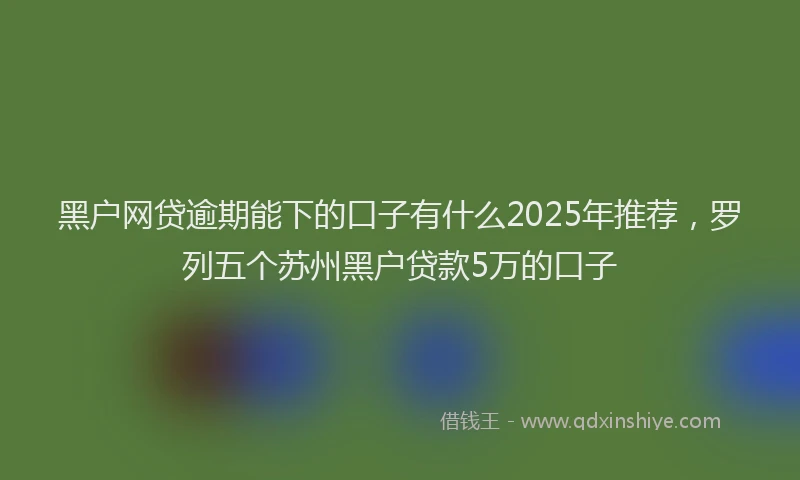 黑户网贷逾期能下的口子有什么2025年推荐，罗列五个苏州黑户贷款5万的口子