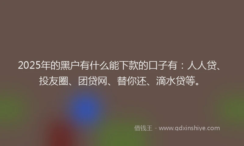 2025年的黑户有什么能下款的口子有：人人贷、投友圈、团贷网、替你还、滴水贷等。