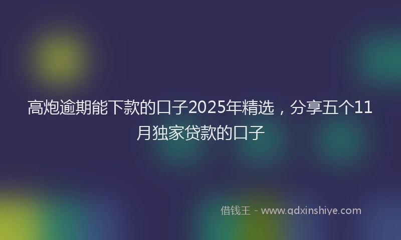 高炮逾期能下款的口子2025年精选，分享五个11月独家贷款的口子