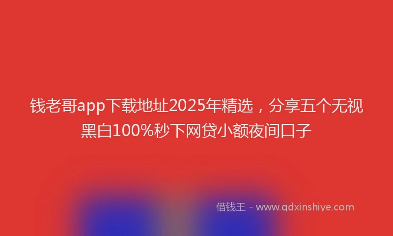 钱老哥app下载地址2025年精选，分享五个无视黑白100%秒下网贷小额夜间口子