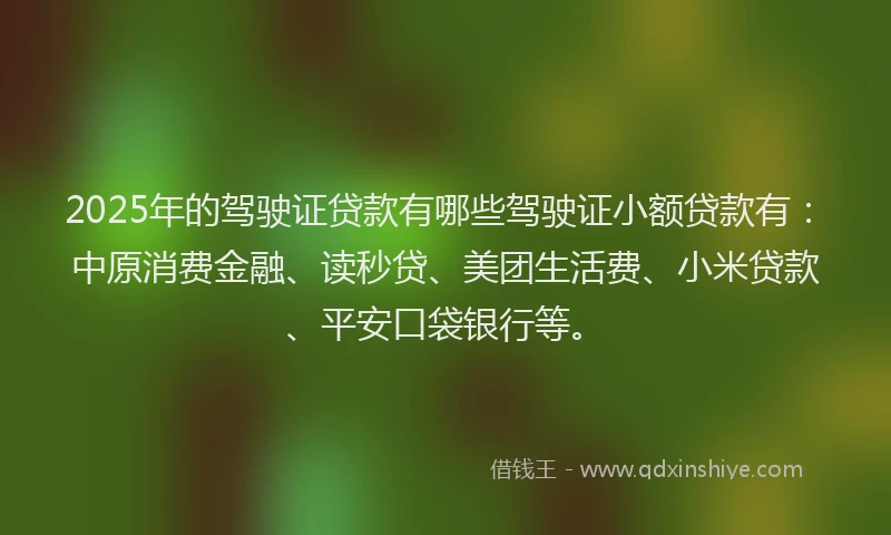 2025年的驾驶证贷款有哪些驾驶证小额贷款有：中原消费金融、读秒贷、美团生活费、小米贷款、平安口袋银行等。