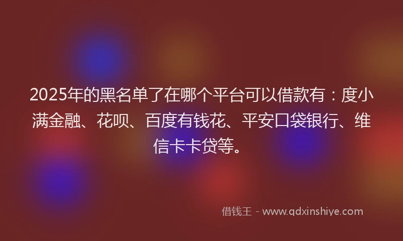 2025年的黑名单了在哪个平台可以借款有：度小满金融、花呗、百度有钱花、平安口袋银行、维信卡卡贷等。