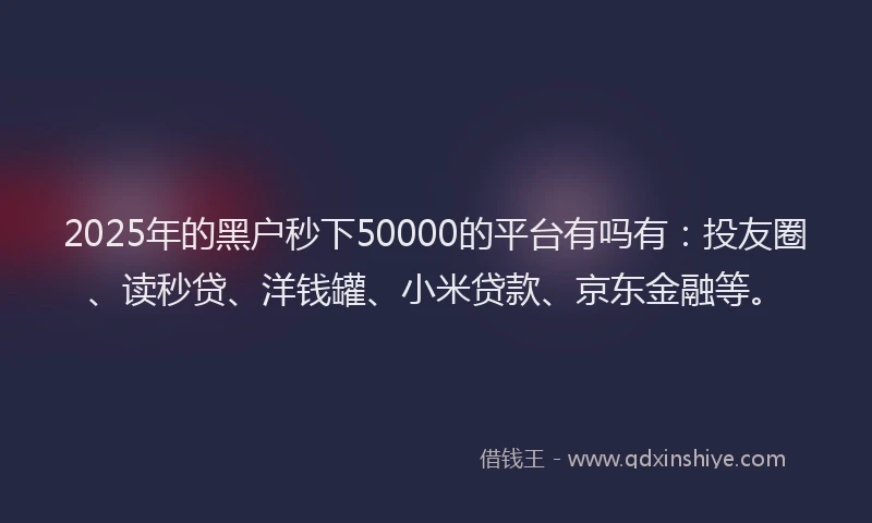 2025年的黑户秒下50000的平台有吗有：投友圈、读秒贷、洋钱罐、小米贷款、京东金融等。