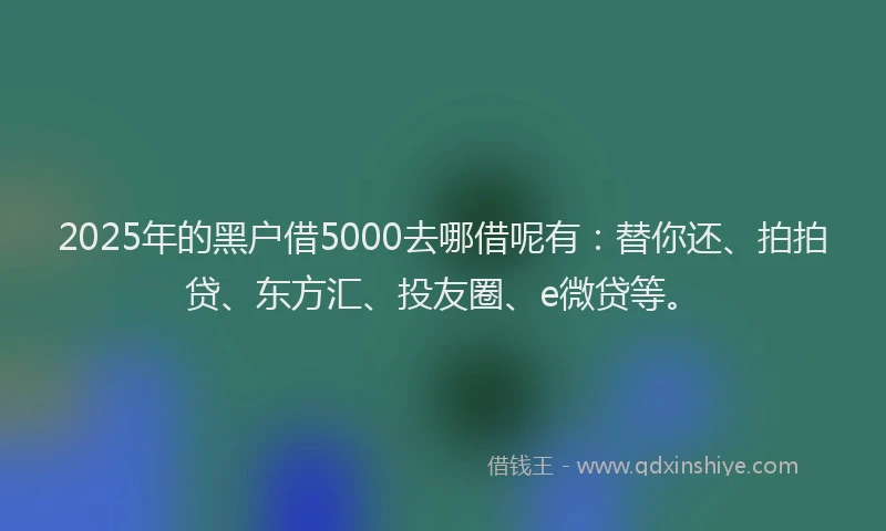 2025年的黑户借5000去哪借呢有：替你还、拍拍贷、东方汇、投友圈、e微贷等。