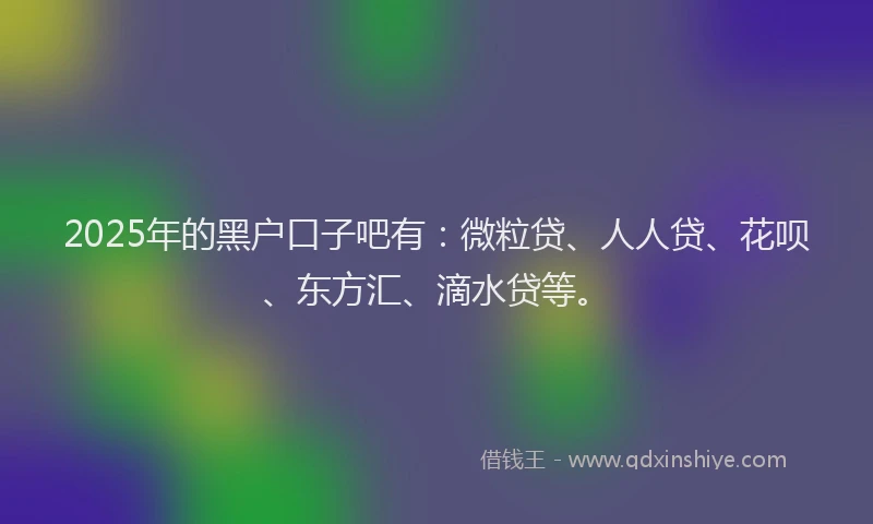 2025年的黑户口子吧有：微粒贷、人人贷、花呗、东方汇、滴水贷等。