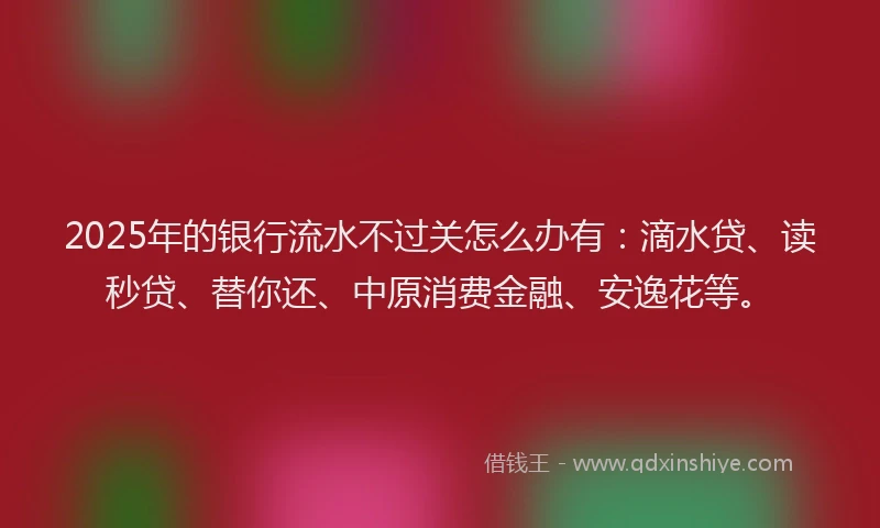 2025年的银行流水不过关怎么办有：滴水贷、读秒贷、替你还、中原消费金融、安逸花等。