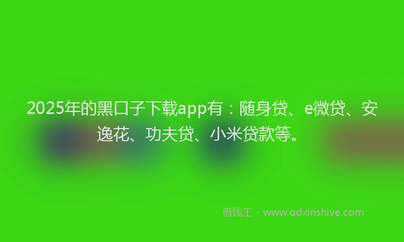 2025年的黑口子下载app有：随身贷、e微贷、安逸花、功夫贷、小米贷款等。