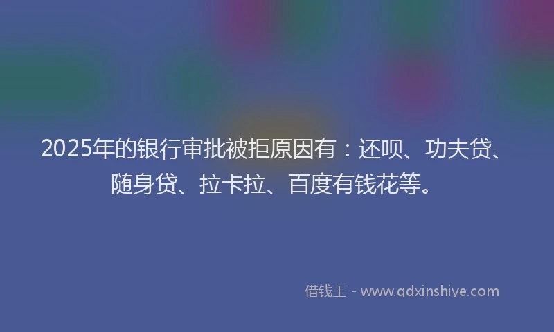 2025年的银行审批被拒原因有：还呗、功夫贷、随身贷、拉卡拉、百度有钱花等。