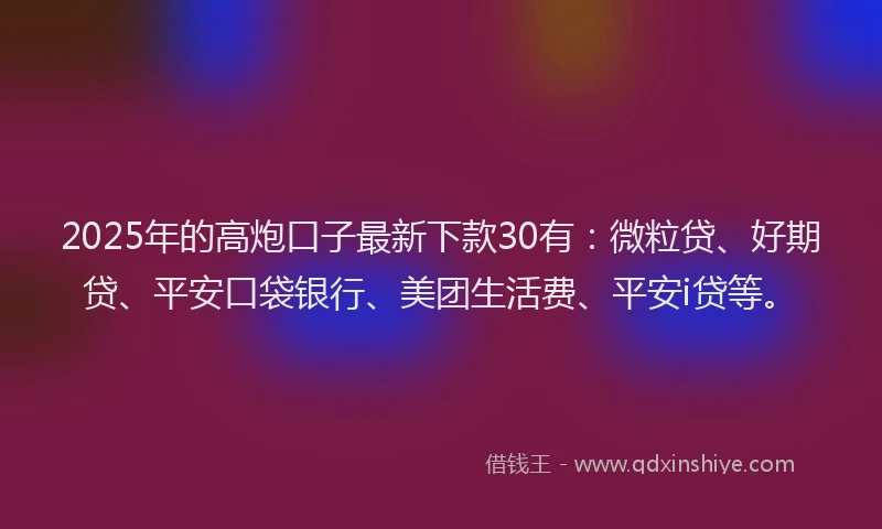 2025年的高炮口子最新下款30有：微粒贷、好期贷、平安口袋银行、美团生活费、平安i贷等。