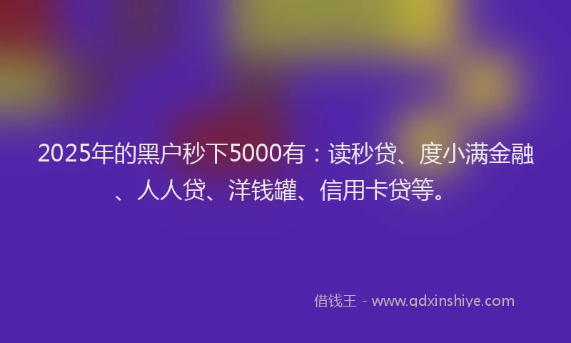 2025年的黑户秒下5000有：读秒贷、度小满金融、人人贷、洋钱罐、信用卡贷等。