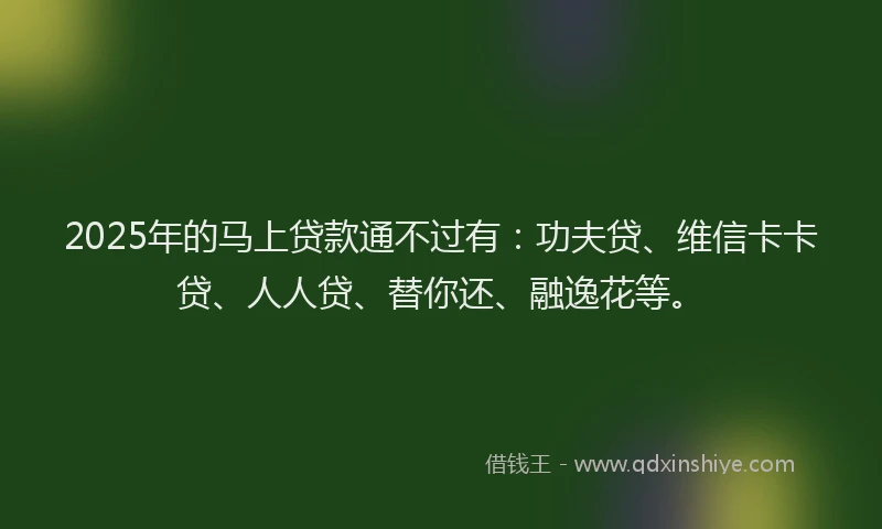 2025年的马上贷款通不过有：功夫贷、维信卡卡贷、人人贷、替你还、融逸花等。