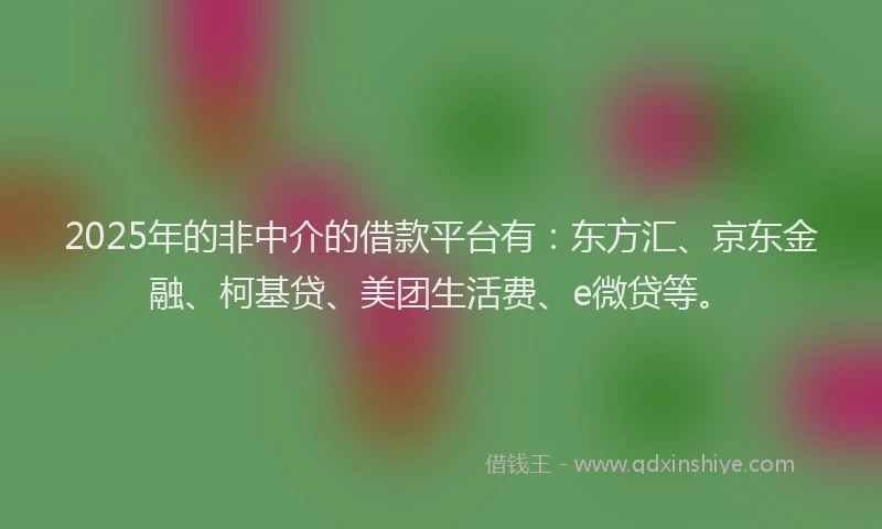 2025年的非中介的借款平台有：东方汇、京东金融、柯基贷、美团生活费、e微贷等。