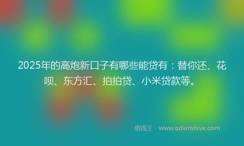 2025年的高炮新口子有哪些能贷有：替你还、花呗、东方汇、拍拍贷、小米贷款等。