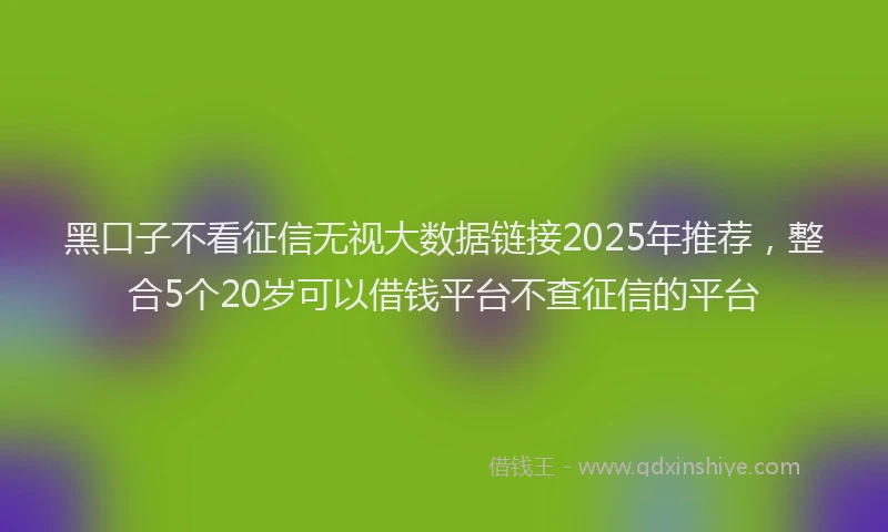 黑口子不看征信无视大数据链接2025年推荐，整合5个20岁可以借钱平台不查征信的平台