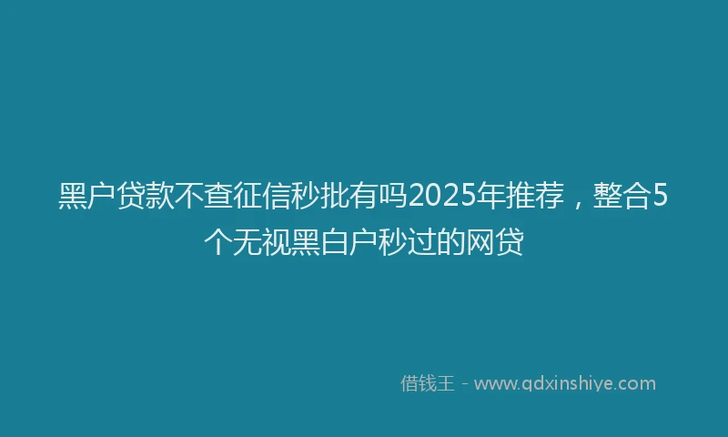 黑户贷款不查征信秒批有吗2025年推荐，整合5个无视黑白户秒过的网贷