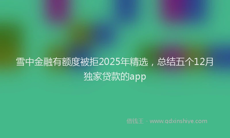 雪中金融有额度被拒2025年精选，总结五个12月独家贷款的app