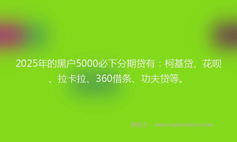 2025年的黑户5000必下分期贷有：柯基贷、花呗、拉卡拉、360借条、功夫贷等。