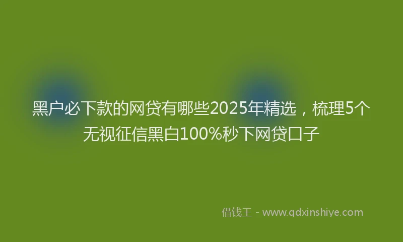 黑户必下款的网贷有哪些2025年精选，梳理5个无视征信黑白100%秒下网贷口子