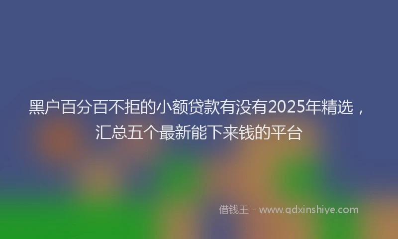 黑户百分百不拒的小额贷款有没有2025年精选，汇总五个最新能下来钱的平台