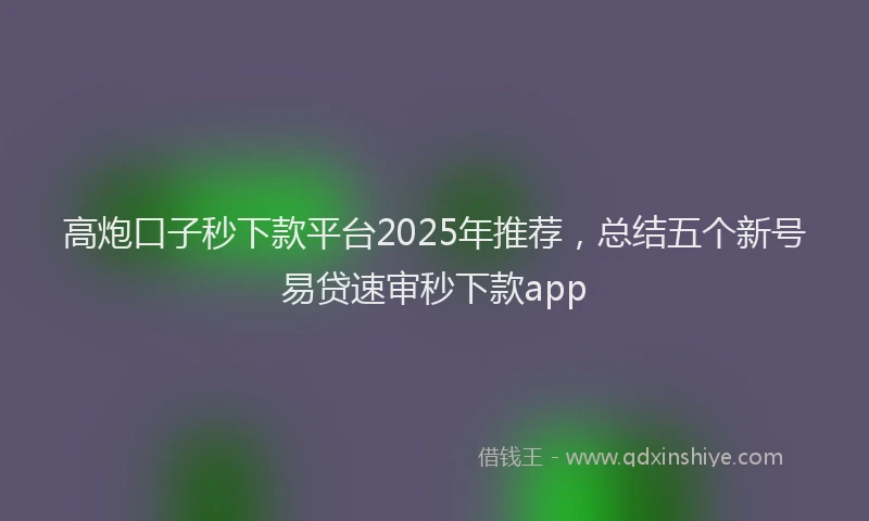 高炮口子秒下款平台2025年推荐，总结五个新号易贷速审秒下款app