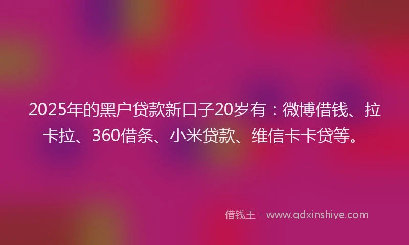 2025年的黑户贷款新口子20岁有：微博借钱、拉卡拉、360借条、小米贷款、维信卡卡贷等。