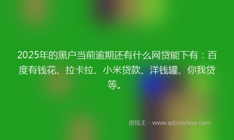 2025年的黑户当前逾期还有什么网贷能下有：百度有钱花、拉卡拉、小米贷款、洋钱罐、你我贷等。