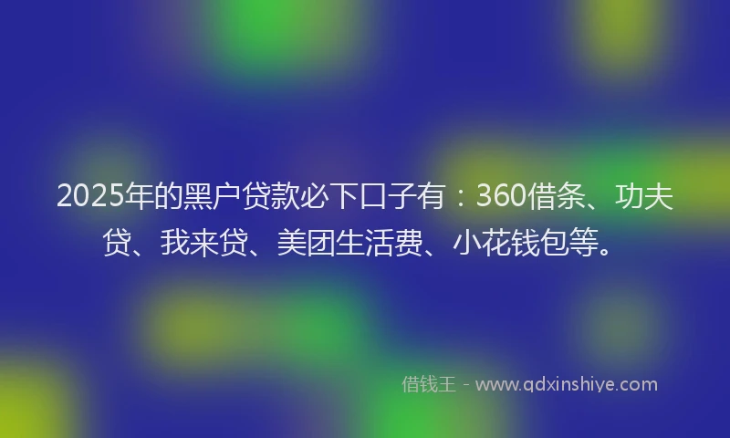 2025年的黑户贷款必下口子有：360借条、功夫贷、我来贷、美团生活费、小花钱包等。
