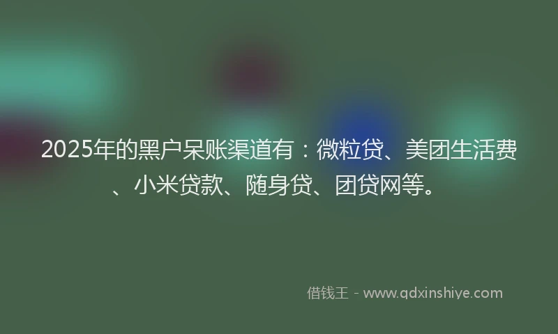 2025年的黑户呆账渠道有：微粒贷、美团生活费、小米贷款、随身贷、团贷网等。