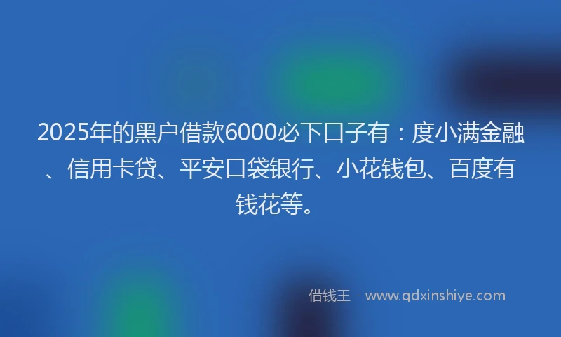 2025年的黑户借款6000必下口子有：度小满金融、信用卡贷、平安口袋银行、小花钱包、百度有钱花等。