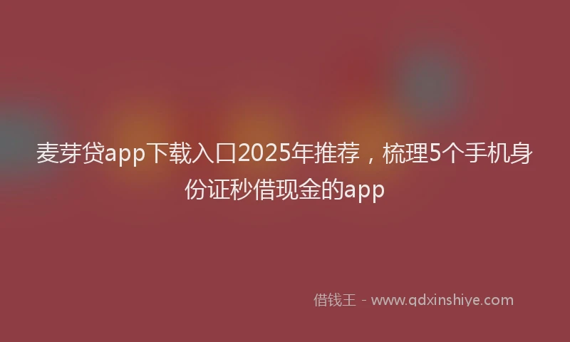 麦芽贷app下载入口2025年推荐，梳理5个手机身份证秒借现金的app