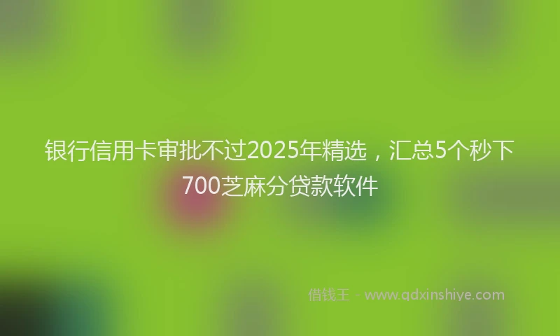 银行信用卡审批不过2025年精选，汇总5个秒下700芝麻分贷款软件