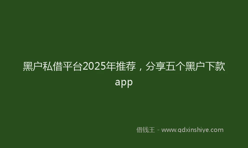 黑户私借平台2025年推荐，分享五个黑户下款app
