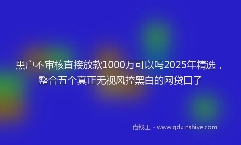 黑户不审核直接放款1000万可以吗2025年精选，整合五个真正无视风控黑白的网贷口子