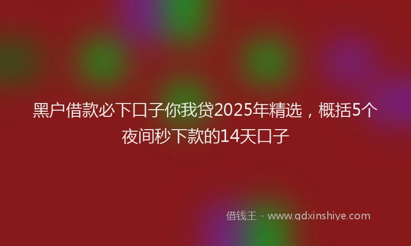 黑户借款必下口子你我贷2025年精选，概括5个夜间秒下款的14天口子