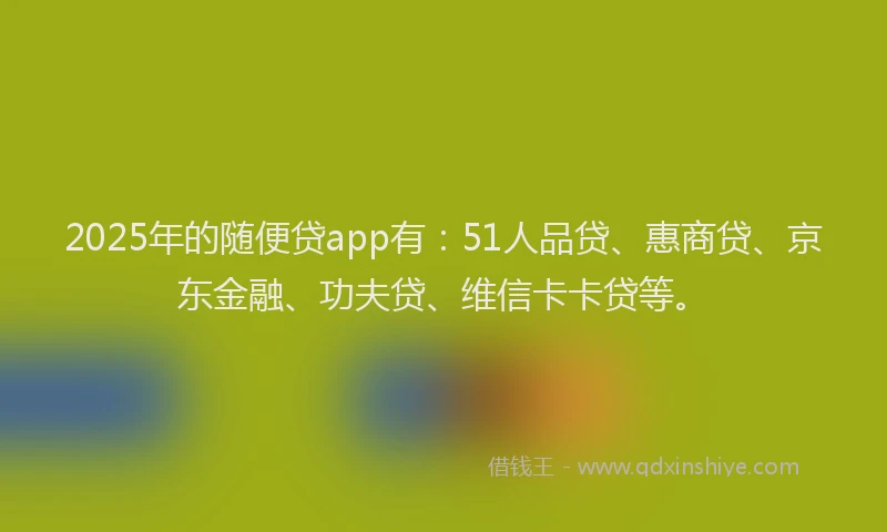 2025年的随便贷app有：51人品贷、惠商贷、京东金融、功夫贷、维信卡卡贷等。