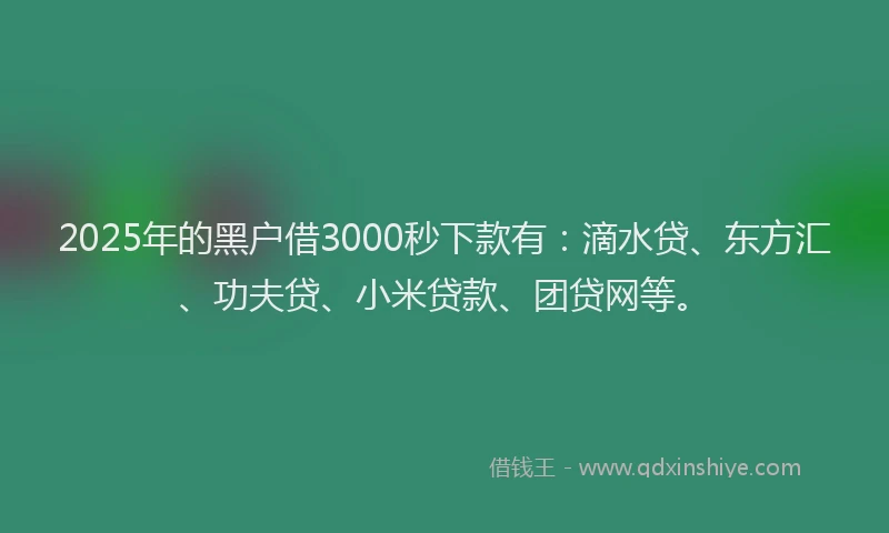 2025年的黑户借3000秒下款有：滴水贷、东方汇、功夫贷、小米贷款、团贷网等。