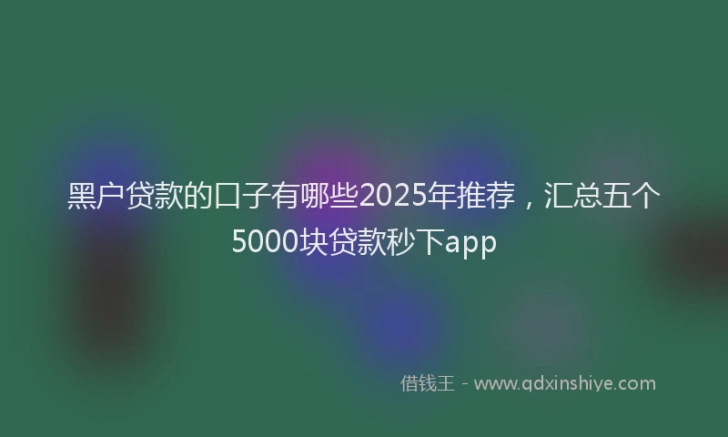 黑户贷款的口子有哪些2025年推荐，汇总五个5000块贷款秒下app