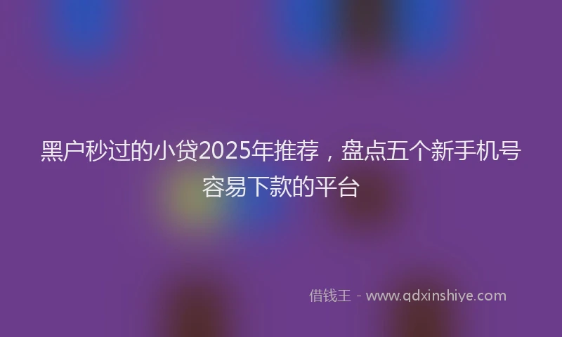 黑户秒过的小贷2025年推荐，盘点五个新手机号容易下款的平台