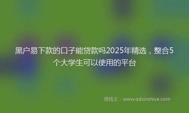 黑户易下款的口子能贷款吗2025年精选，整合5个大学生可以使用的平台