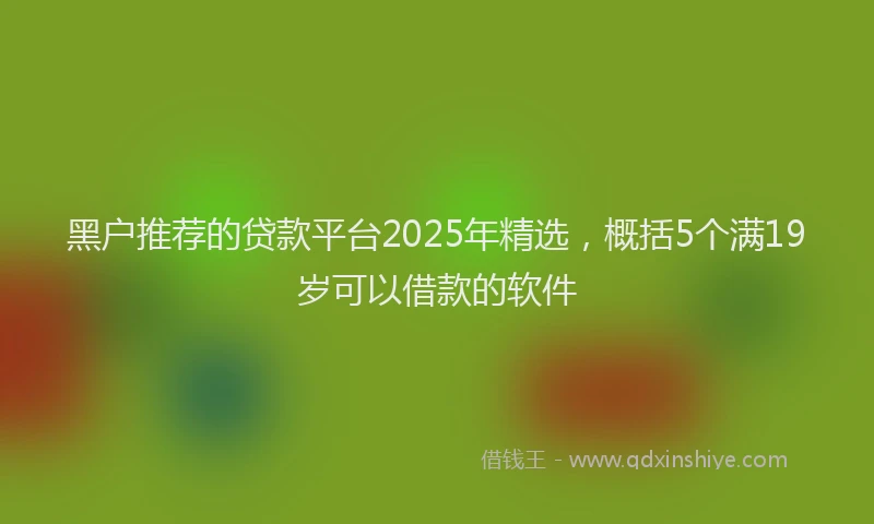 黑户推荐的贷款平台2025年精选，概括5个满19岁可以借款的软件